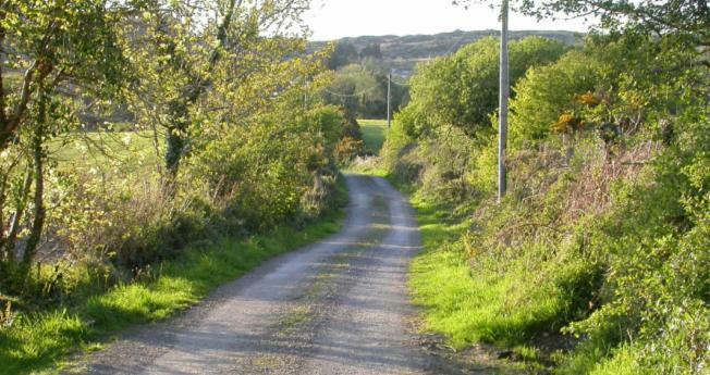 Ferienwohnung Ravens Oak, West Cork Bantry Exterior foto